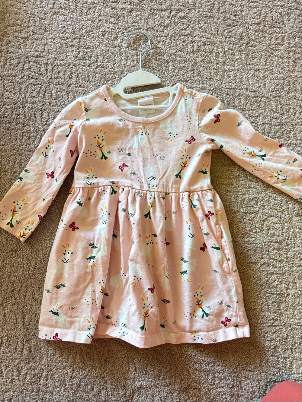 Hanna Andersson Pink Bunny & Floral Long-Sleeve Dress